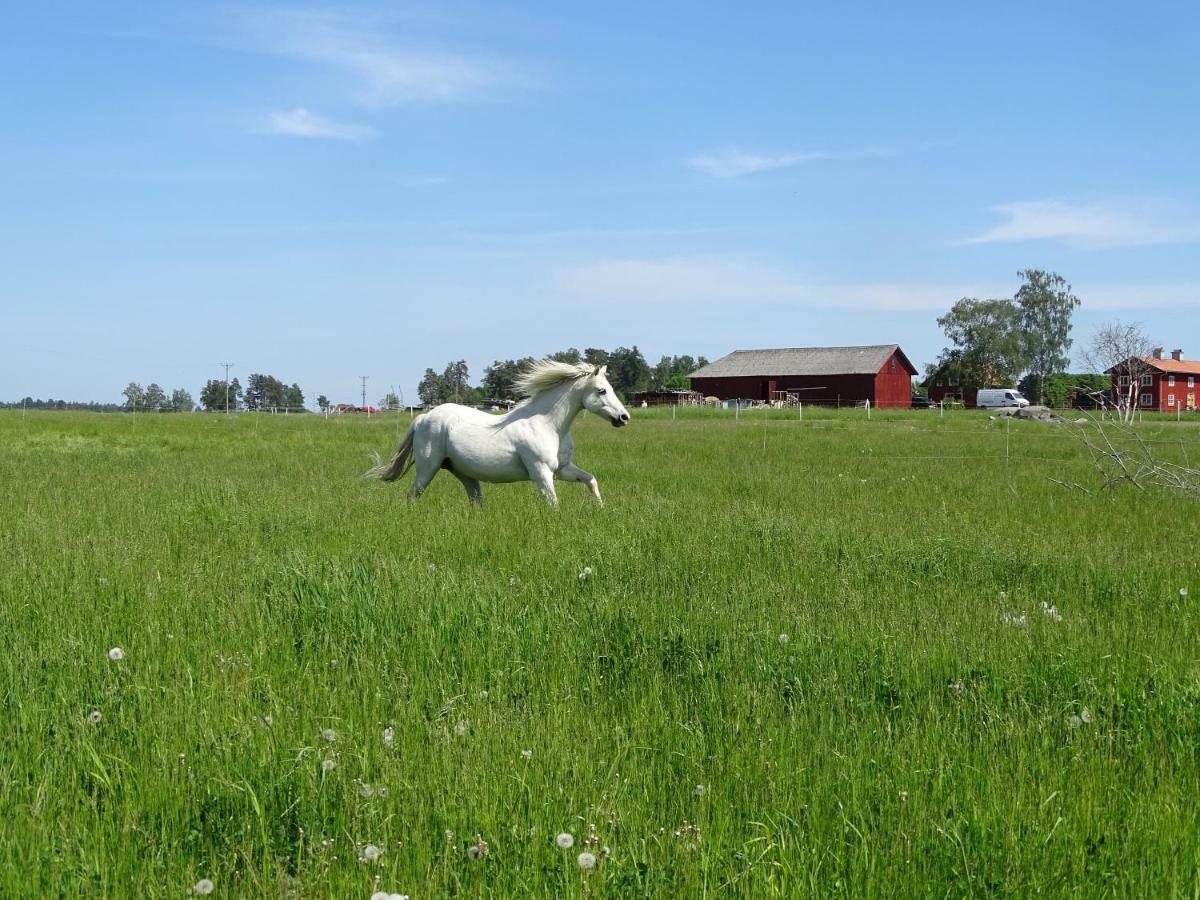 Broby Bed & Breakfast Nyköping Exteriör bild